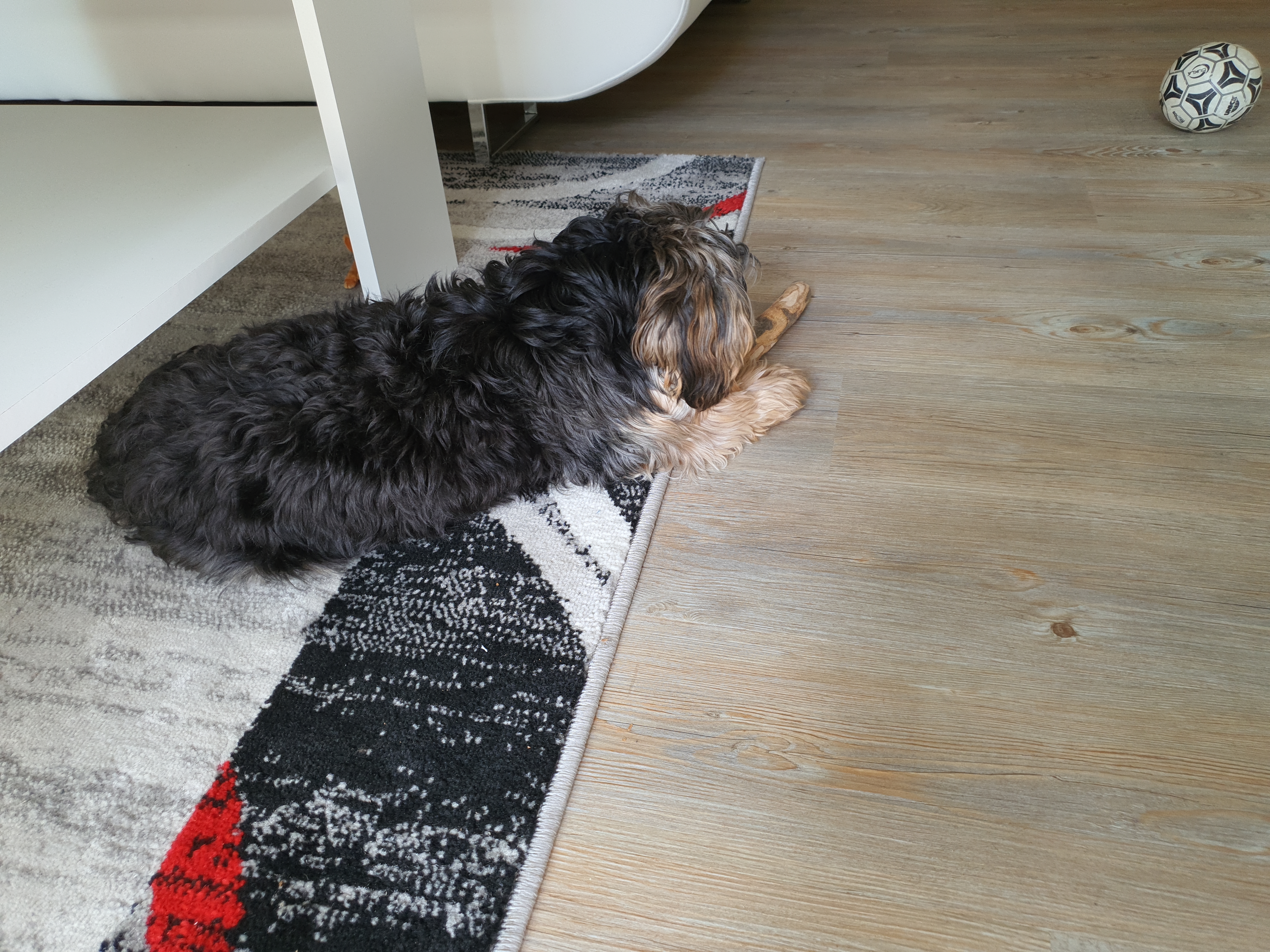 Nur kurz interessant