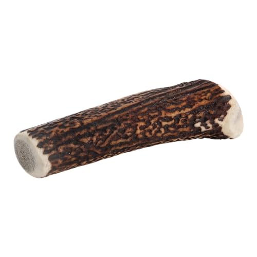 chewies-kaugeweih-xl-ganze-abwurfstange-vom-rothirsch-hirschgeweih-kausnack-ca-1 image 8