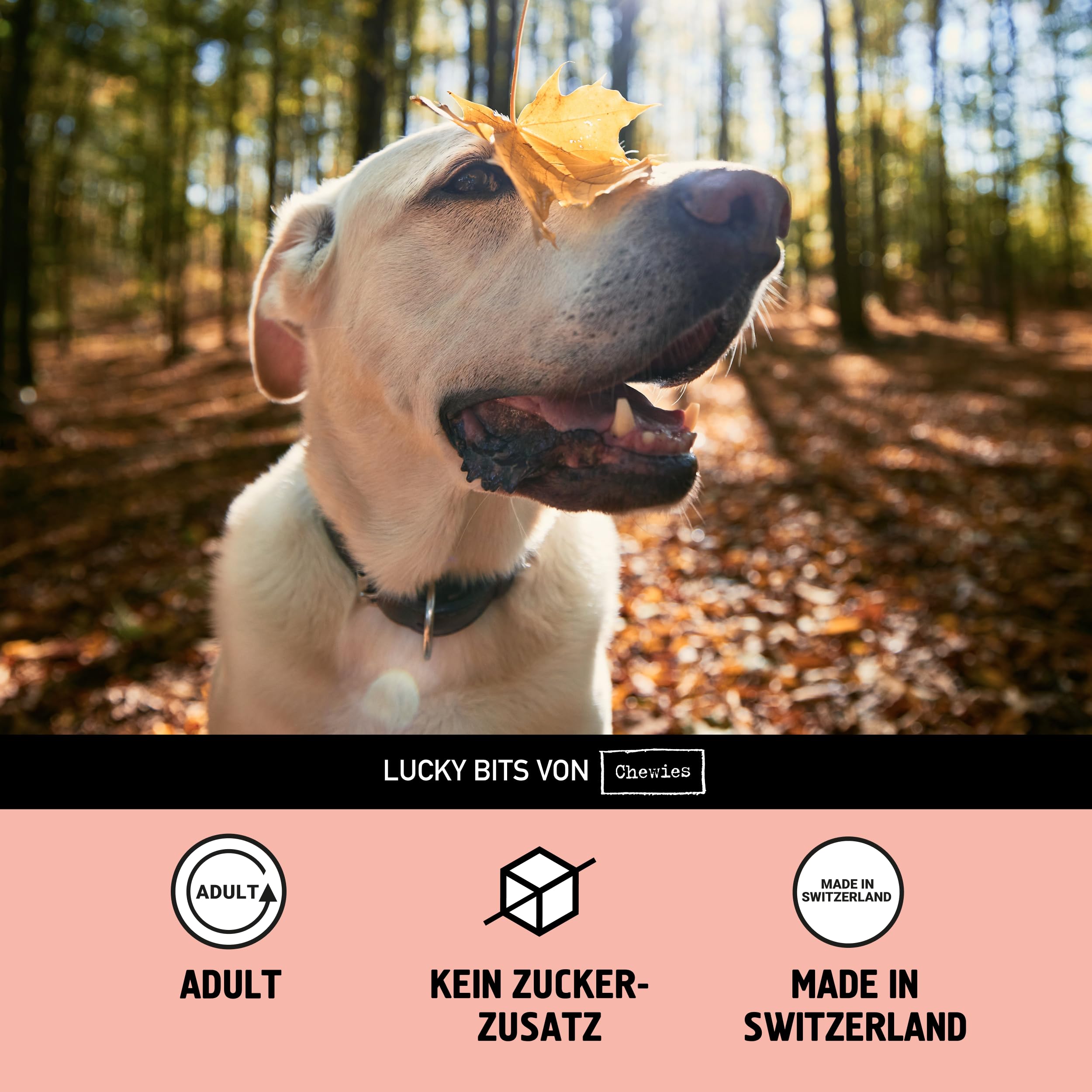 chewies-lucky-bits-pferd-adult-hundeleckerli-80-g image 6