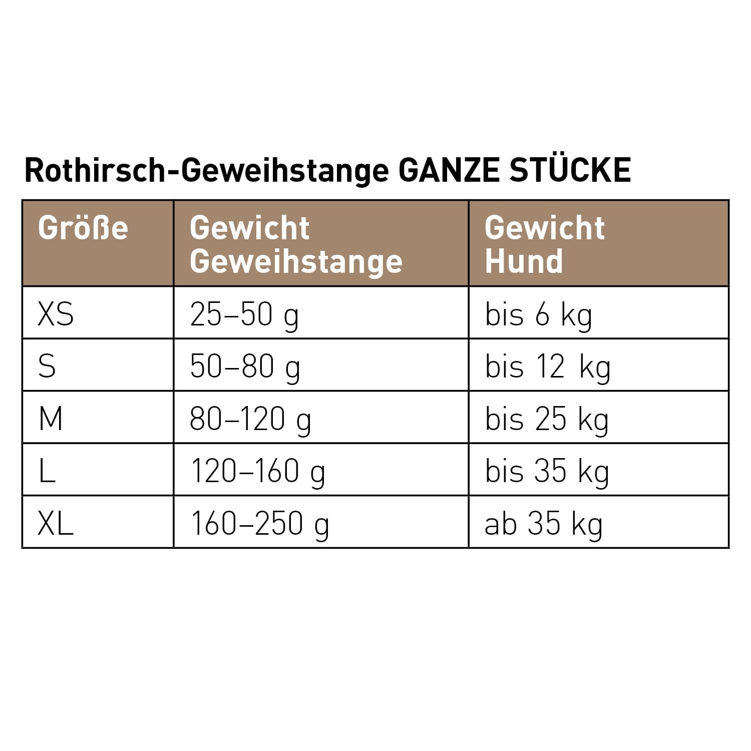 chewies-kaugeweih-gr-e-m-ganze-abwurfstange-vom-rothirsch-1-st-ck image 5