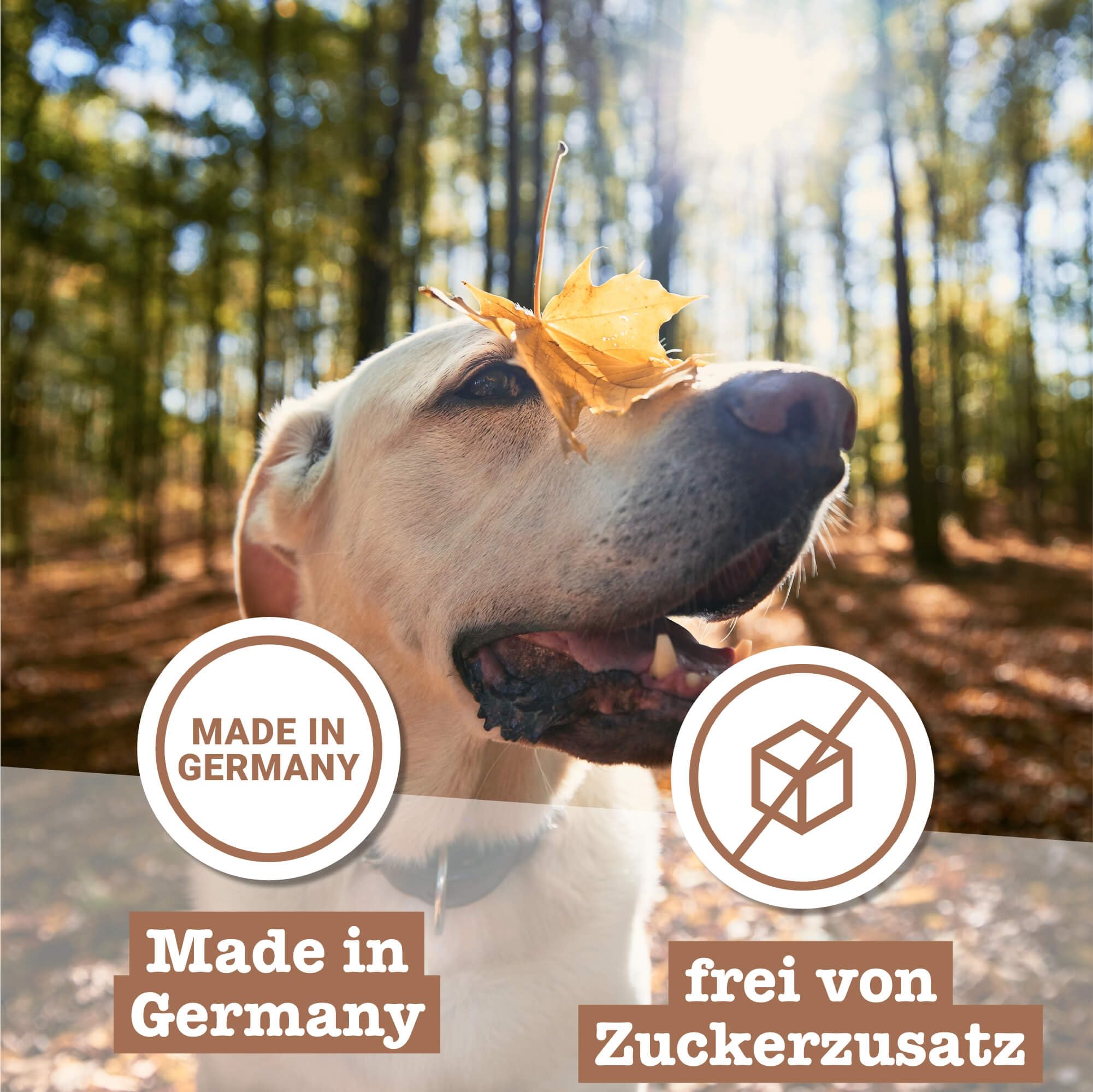 chewies-maxi-mix-hundeleckerli-kn-chelchen-lamm-wild-lachs-3-x-200-g-soft-snacks image 6