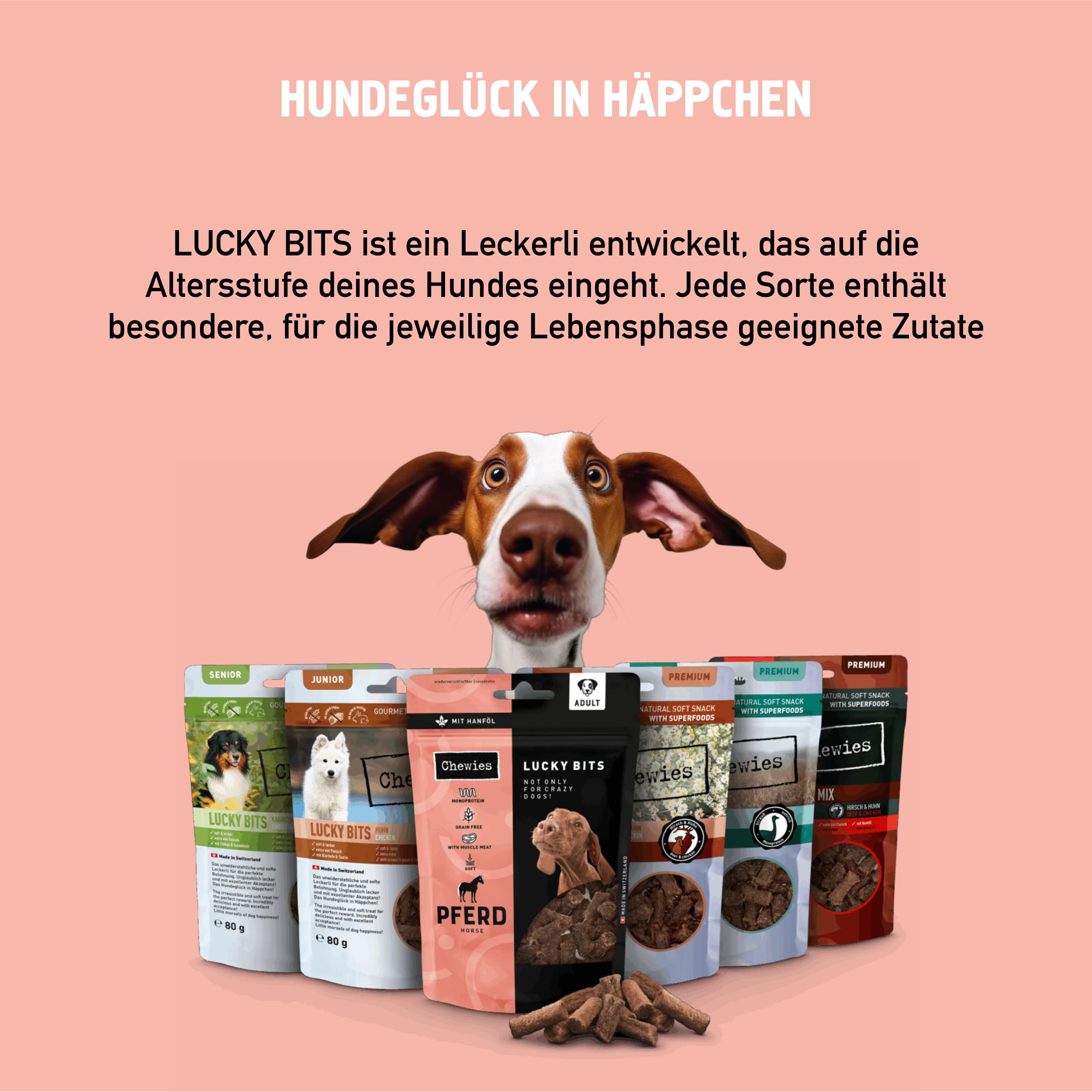 chewies-lucky-bits-pferd-adult-hundeleckerli-80-g image 7