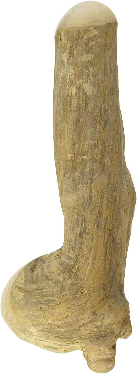 chewies-kau-knochen-aus-kaffeeholz-gr-e-m-f-r-hunde-bis-20-kg-042044 image 4