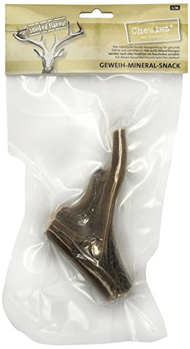 chewies-ger-uchertes-kaugeweih-ganze-stange-gr-e-s-m-2er-pack-abwurfstange-vom-r image 3