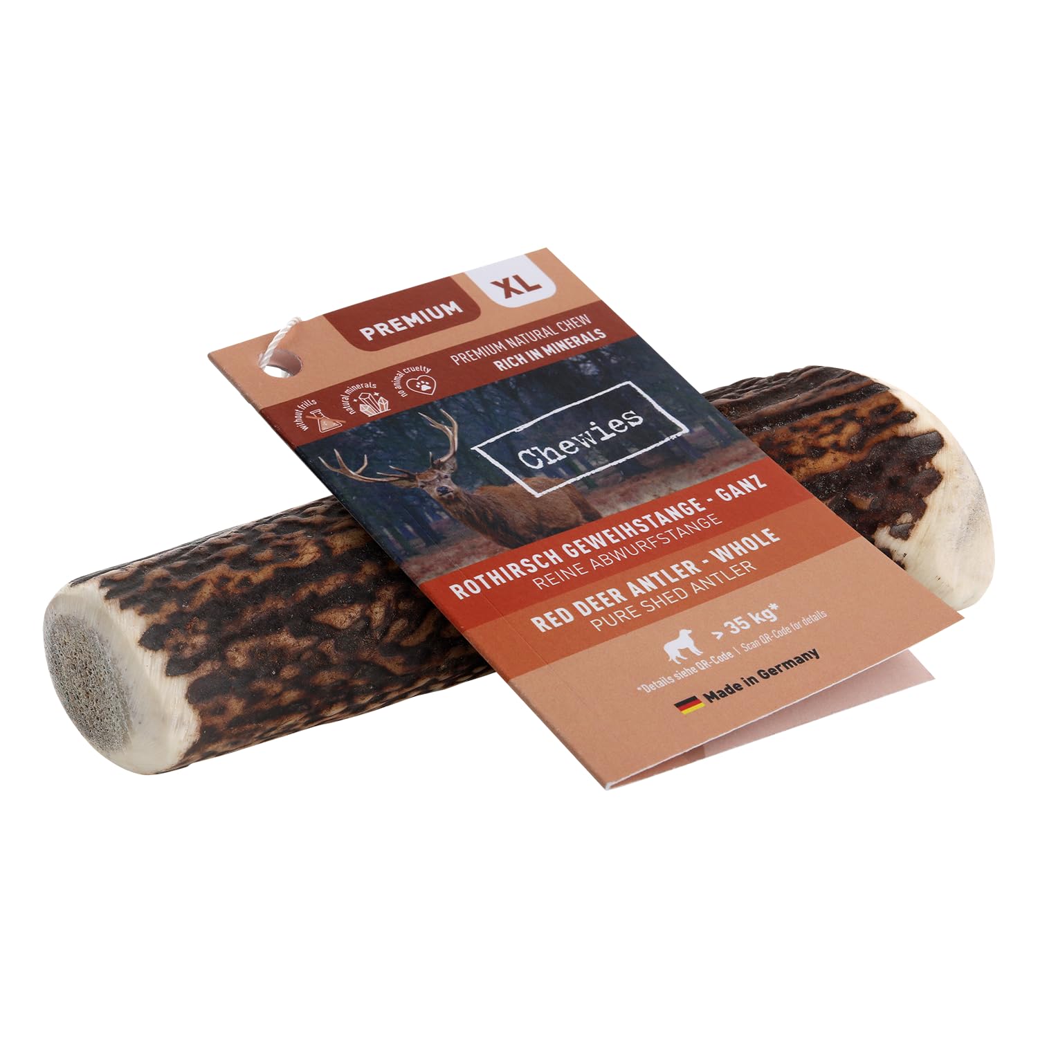 chewies-kaugeweih-xl-ganze-abwurfstange-vom-rothirsch-hirschgeweih-kausnack-ca-1 image 2