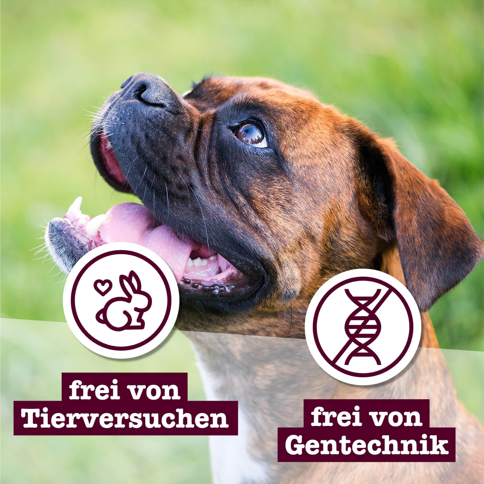 chewies-hundeleckerli-mix-3-x-200-g-600-g-rind-pansen-gefl-gel-kn-chelchen-zucke image 7
