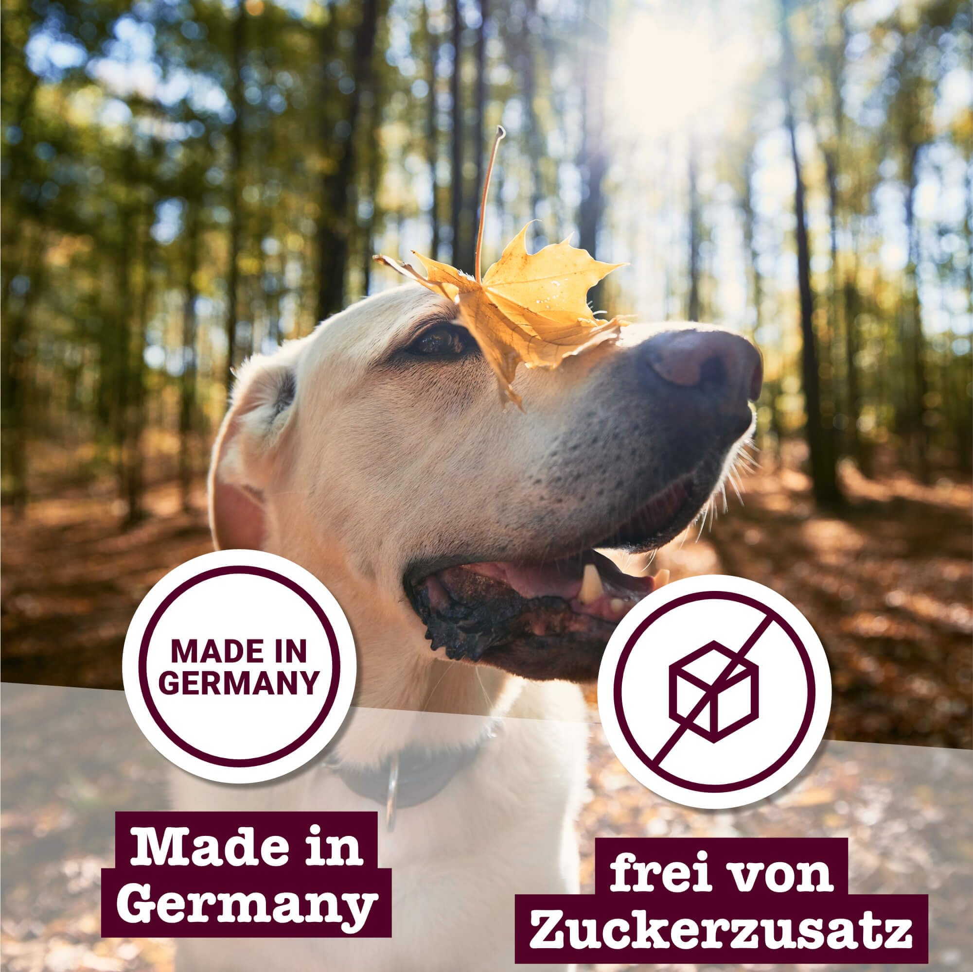 chewies-hundeleckerli-mix-3-x-200-g-600-g-rind-pansen-gefl-gel-kn-chelchen-zucke image 6