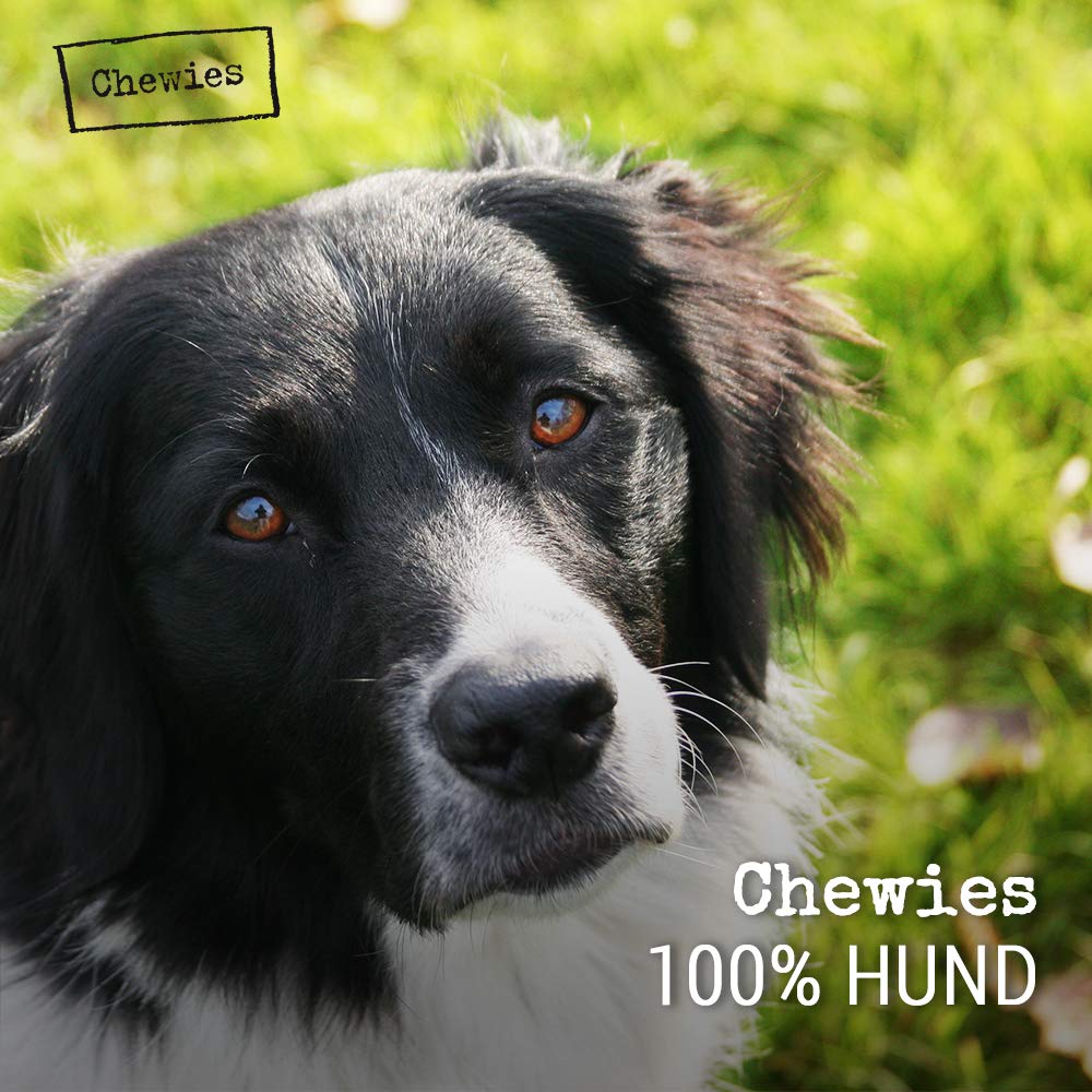 chewies-kauknochen-aus-olivenholz-f-r-hunde-100-nat-rliches-hundespielzeug-risik image 7