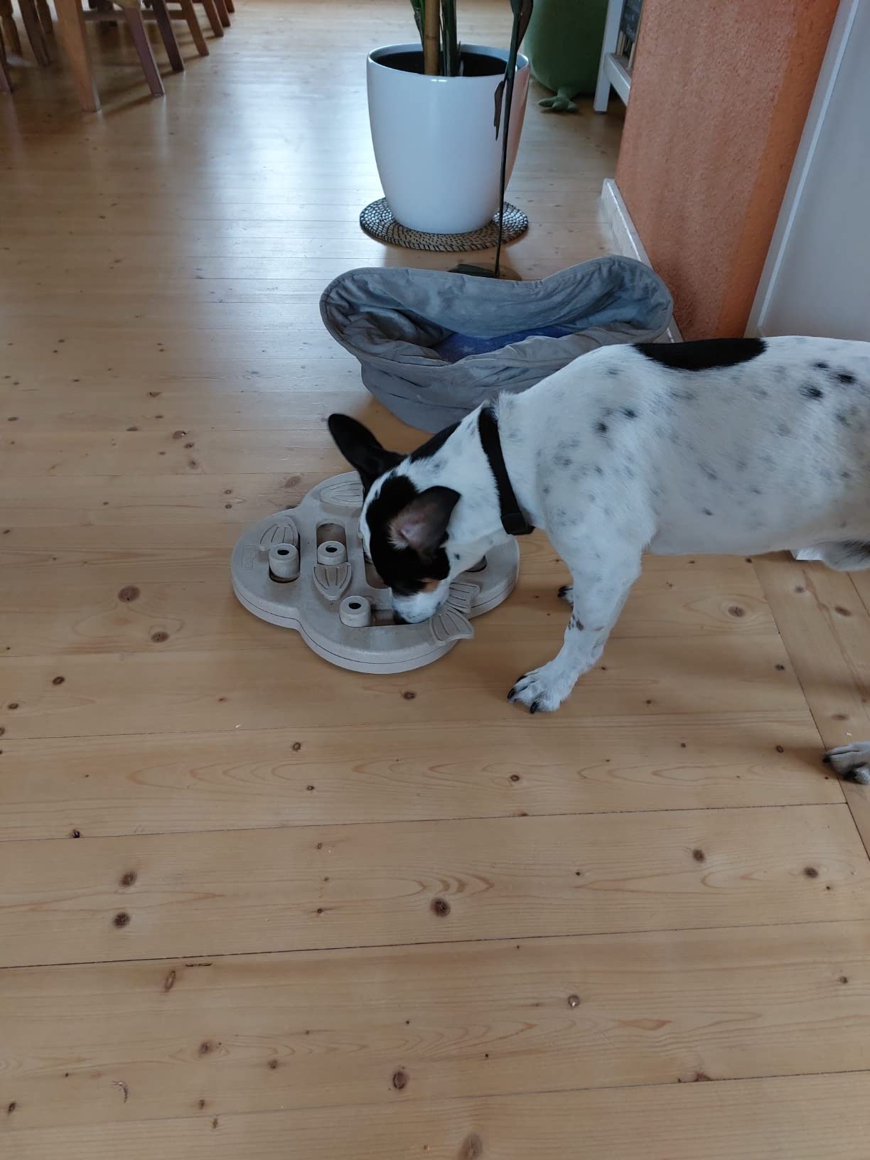 Geschmackssache
