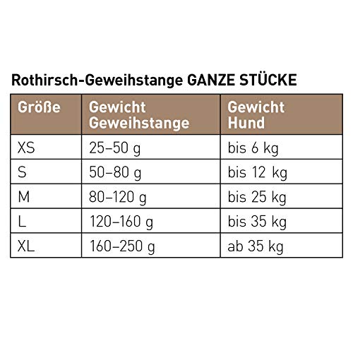 chewies-kaugeweih-vom-rothirsch-ganze-stange-gr-e-s-50-80-g image 4