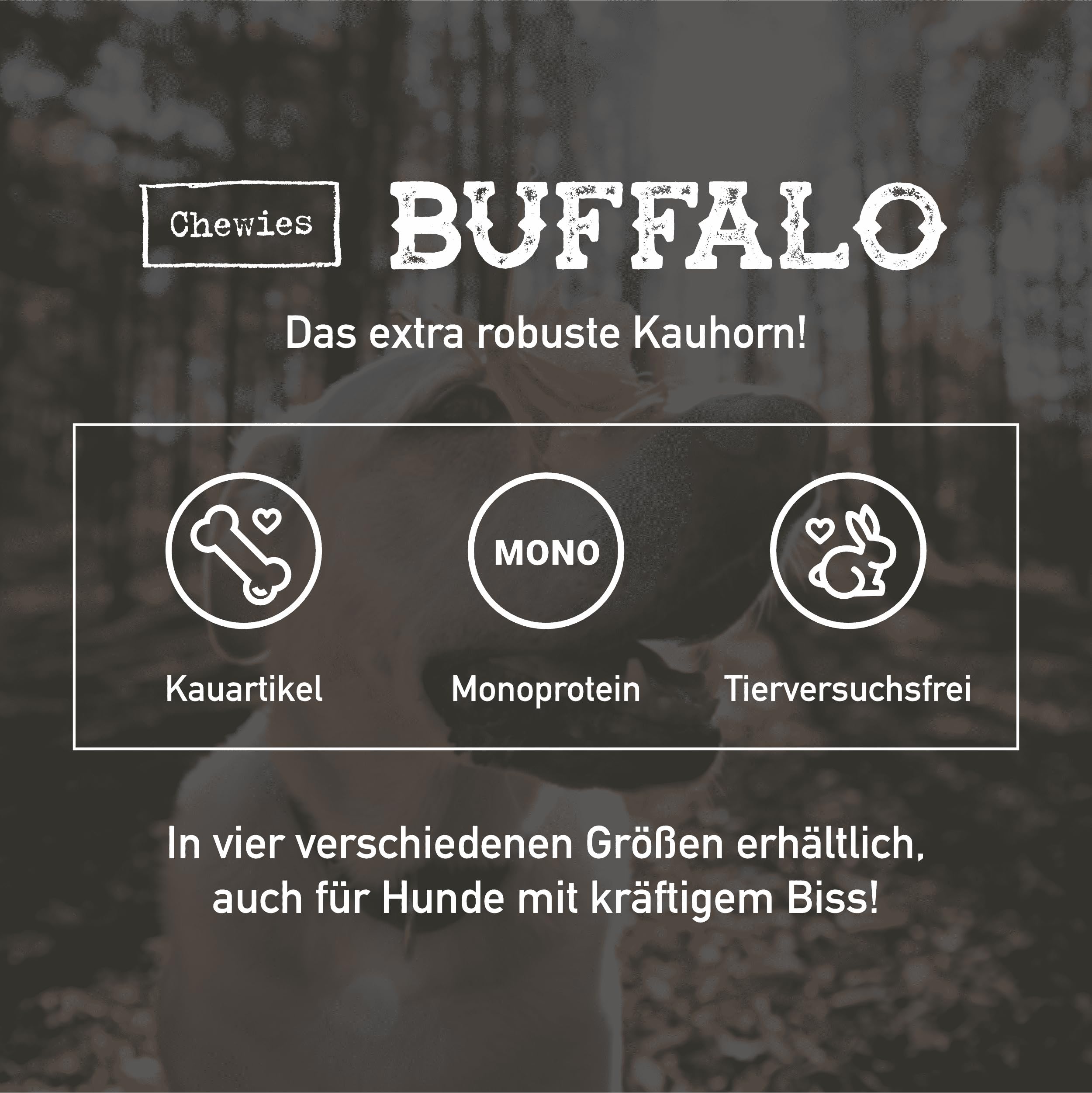 chewies-b-ffelhorn-kauhorn-vom-wasserb-ffel-gef-llt-gr-e-s-f-r-hunde-bis-10-kg image 2