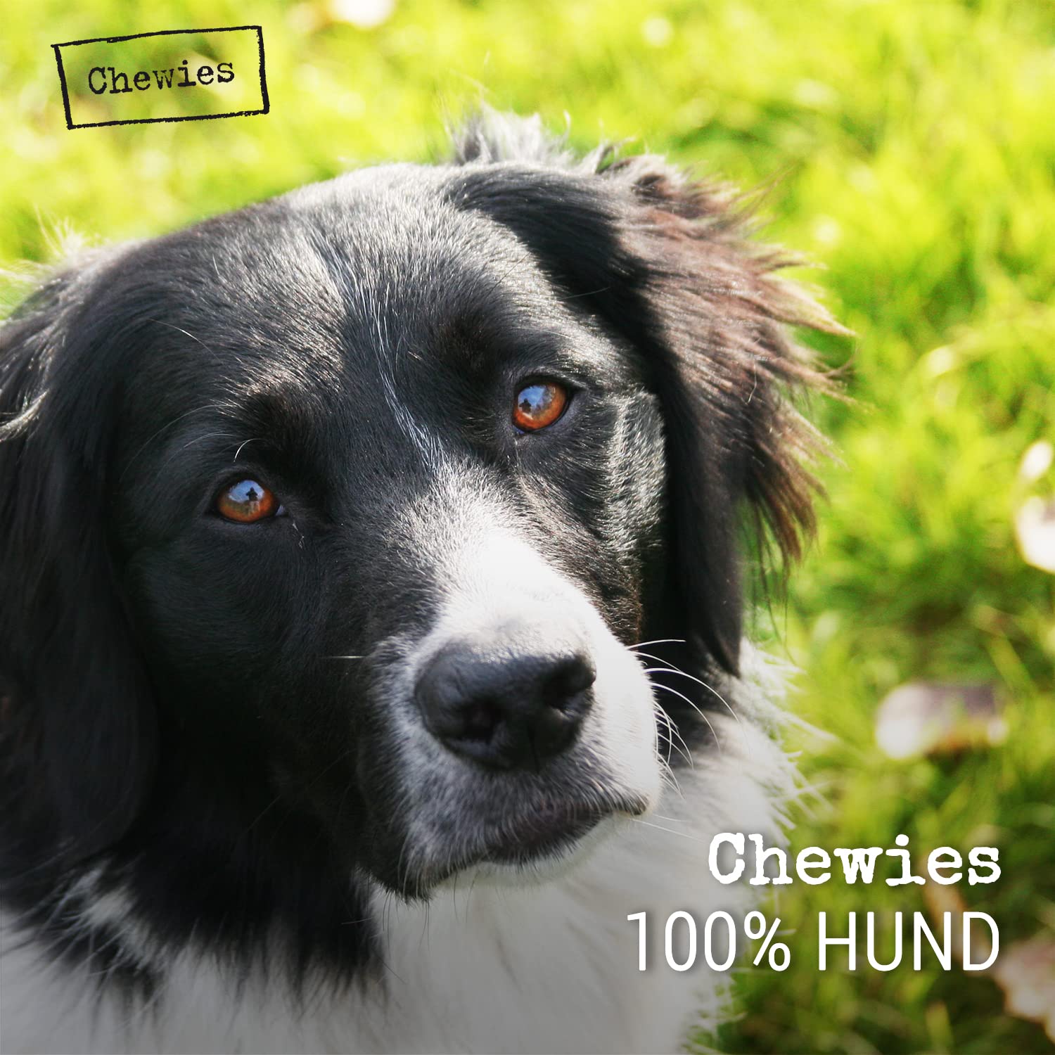 chewies-kauwurzel-aus-baumheide-100-nat-rliches-hundespielzeug-gr-e-s-f-r-hunde- image 6