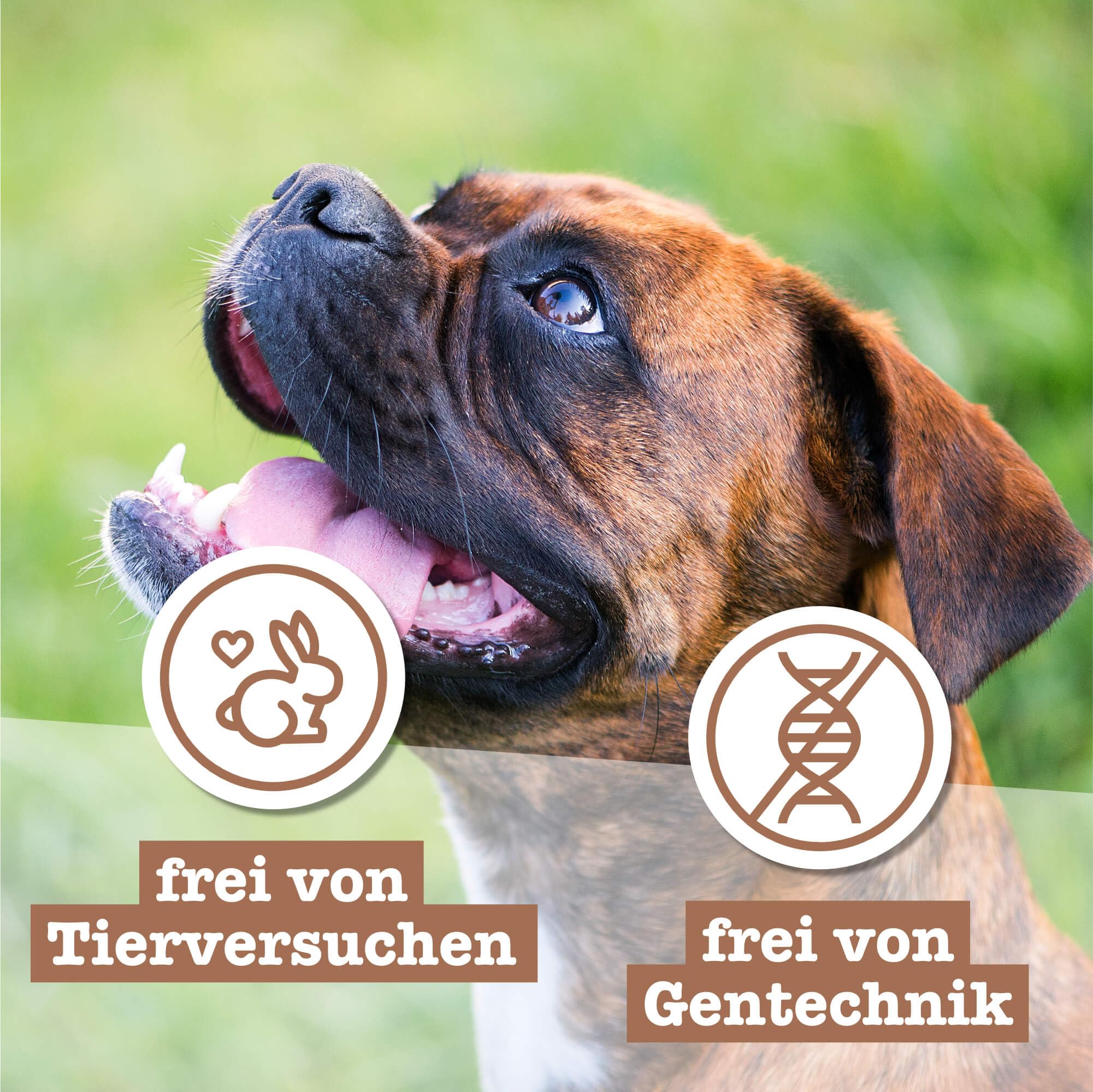 chewies-maxi-mix-hundeleckerli-kn-chelchen-lamm-wild-lachs-3-x-200-g-soft-snacks image 7
