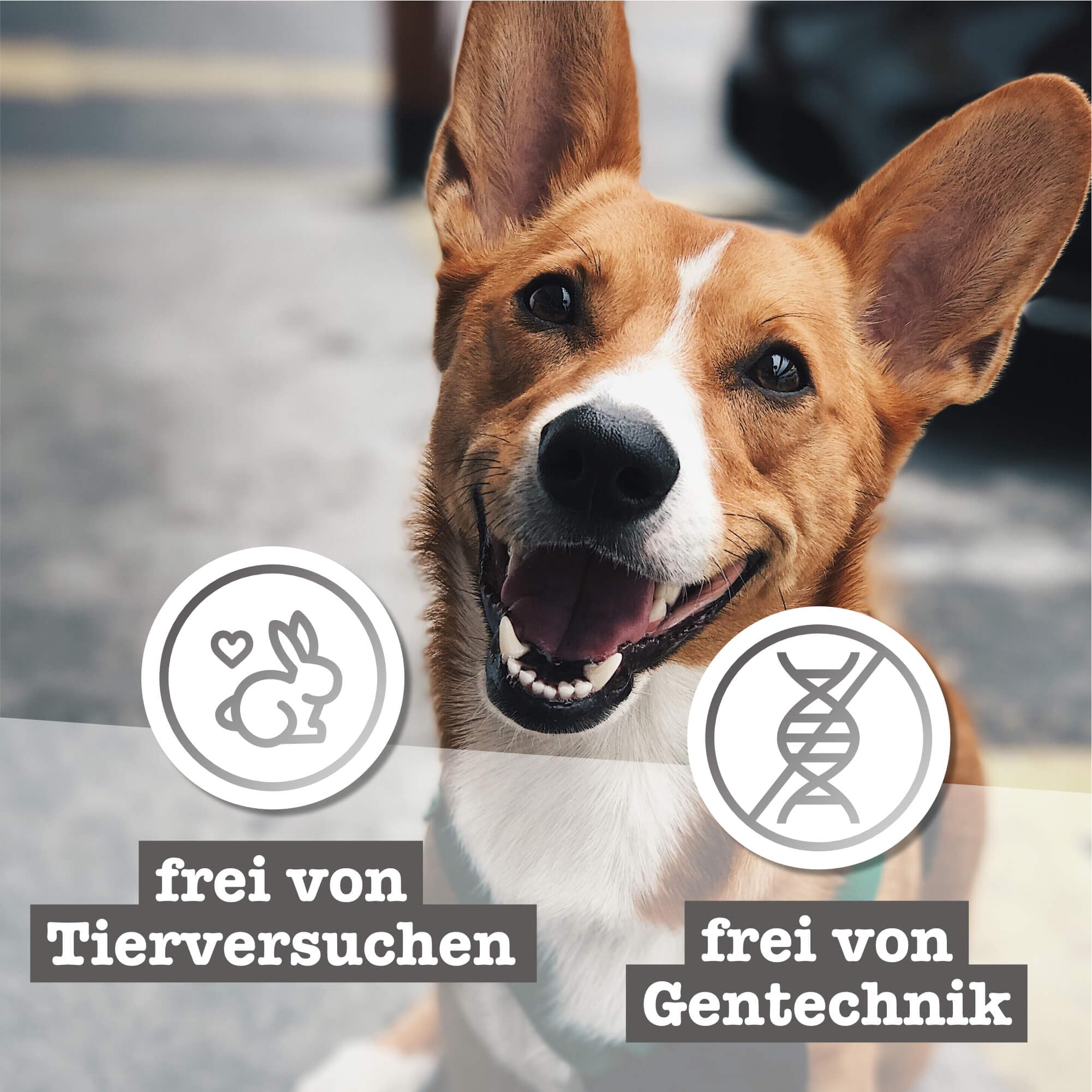 chewies-fleischstreifen-mini-mix-8-x-70-g-luftgetrocknete-hundesnacks-aus-100-fl image 5